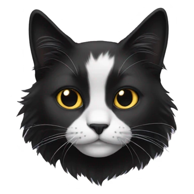 Black long haired cat with muzzle half black half white sticker