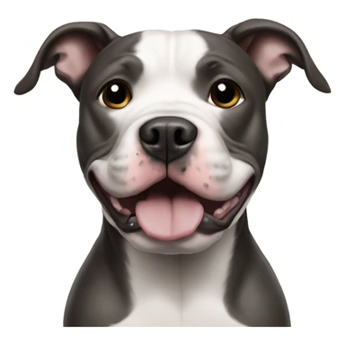 Pit bull with a Dallas Cowboys helmet  sticker