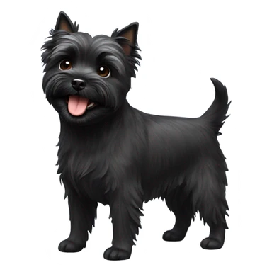 Happy black cairn terrier  sticker
