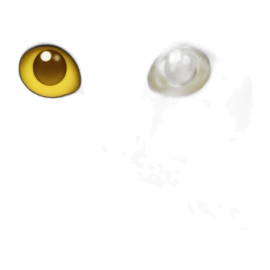 british short hair cat with yellow eyes thumb sticker