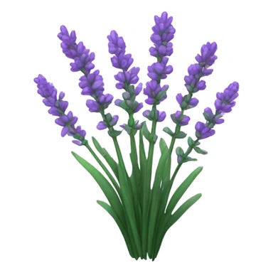 Lavender plant  sticker