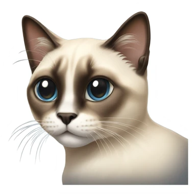 Siamese long hair cat  sticker