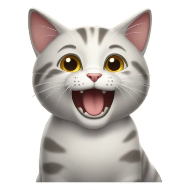 Excited cat  sticker