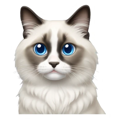 blue eyed ragdoll cat sticker
