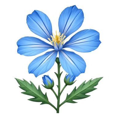 chicory sticker