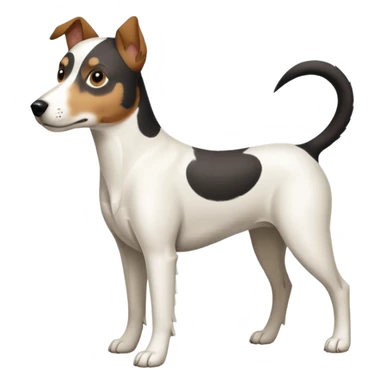 a full body large white parson russell looking dog the size of a kelpie with light brown ears and a light brown patch on one eye and a large snout sticker
