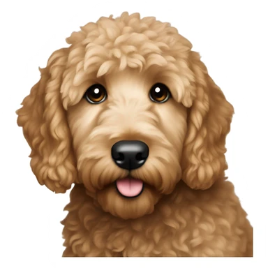 Mini Goldendoodle named River sticker