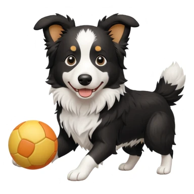 border collie playing with a toy sticker