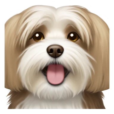 Havanese small dog with brown and blonde fur and happy expression sticker