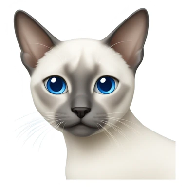 White Siamese cat with blue cross eye￼s sticker