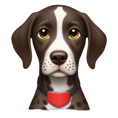 Dark Brown spotted German short haired pointer puppy with ticking with red collar  sticker