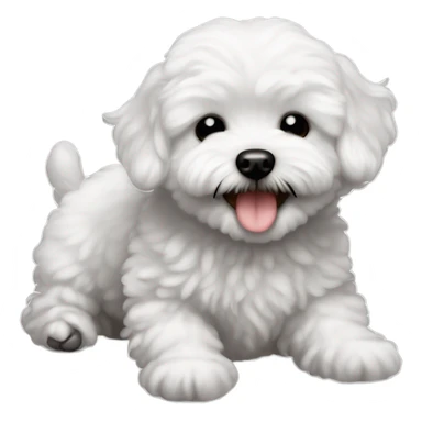 Baby maltipoo black  completely black (not white) laughing eyes closed eyes completely closed big smile  sticker