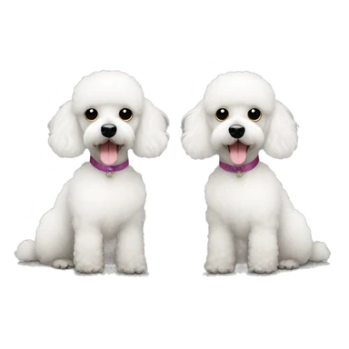 Mini black poodle and mini white poodle sitting together sticker