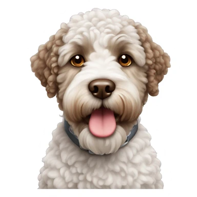 Lagotto romagnolo sticker