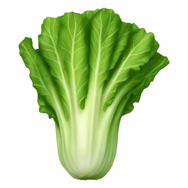 Romaine lettuce sticker