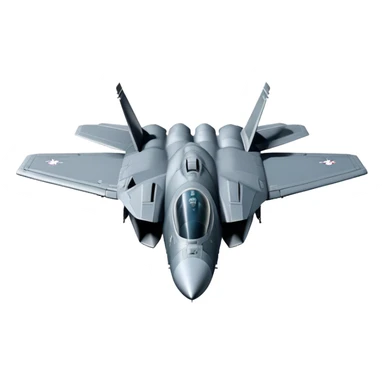 F-14 Tomcat - Grumman (Model Year: 2020) (stealth grey) sticker