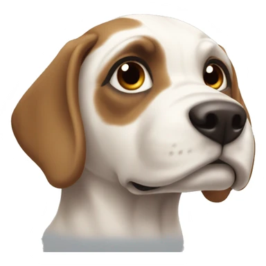 Köpekbalığı sticker