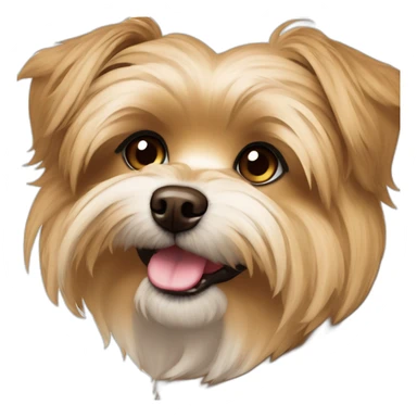 fluffy brown morkie dog with long hair and brown nose sticker