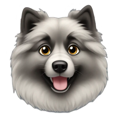 Keeshond named Clara sticker