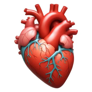 anatomical organic heart sticker