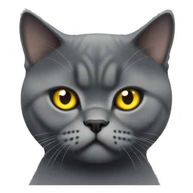 Dark gray angry British shorthair with yellow eyes  sticker