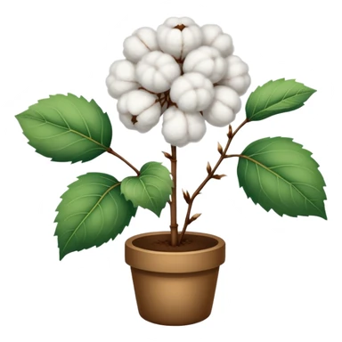 coton bio plant sticker