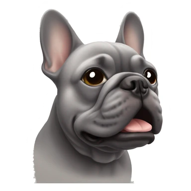 muzzle of a gray French bulldog sticker