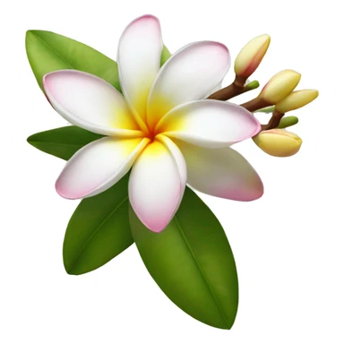 Frangipani sticker