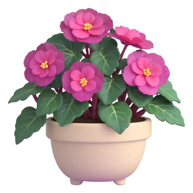 Begonia Rex with dark green leaves, purple edges, white spots in the middle, and distinct spiral centers where each leaf grows from, in a beige pot sticker