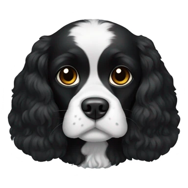 completely black small king spaniel with black fur on his whole face and white fur on chest sticker