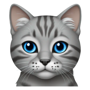 grey Highlander cat with blue eyes sticker