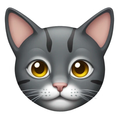 cat with armo sticker