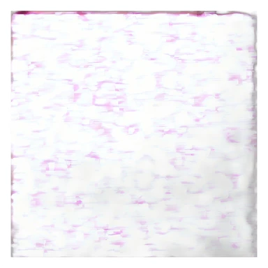 Chaton sur une tortue sticker