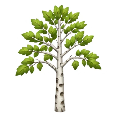 thin birch tree with many boughs sticker