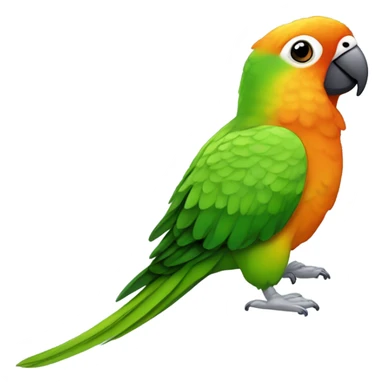 Happy green cheek conure sticker