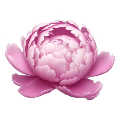 Peonies  sticker