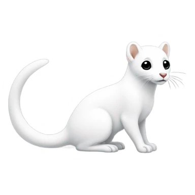 Snow ermine  sticker