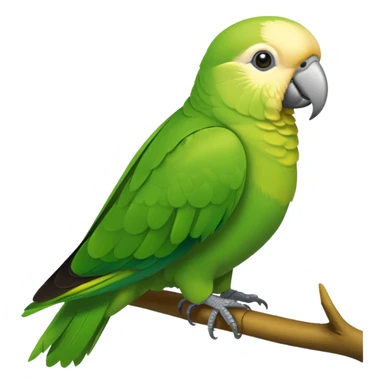 Green Quaker Parrot sticker