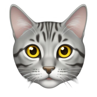Silver tabby Scottish straight cat with yellow eyes sticker
