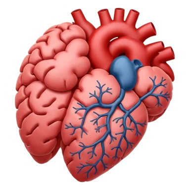 Brain and heart sticker