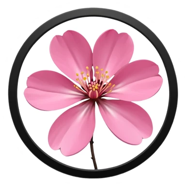 pink girly framed photo of a blossom sticker