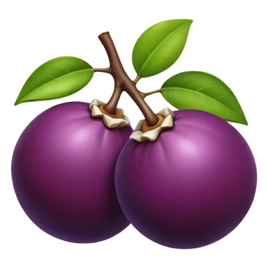 Mangosteen sticker
