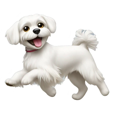 White Maltese dog dancing  sticker
