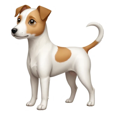 a full body slightly chubby white parson russell terrier looking dog the size of a kelpie with light brown long ears and a light brown patch on one eye and a large snout. the rest of the dog is completely white sticker
