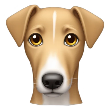 tan lurcher puppy dog with heart sticker