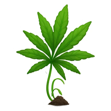 Weed plant sticker