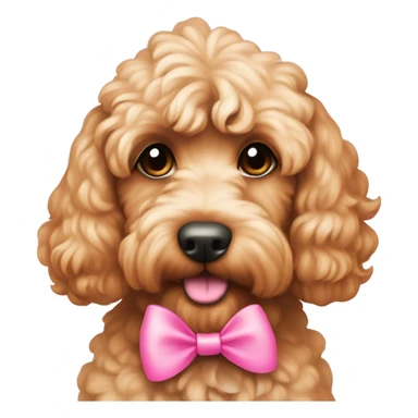 Apricot coloured cockapoo with a pink bow sticker
