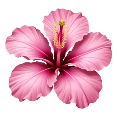 ￼Baby pink Hibiscus flower  sticker