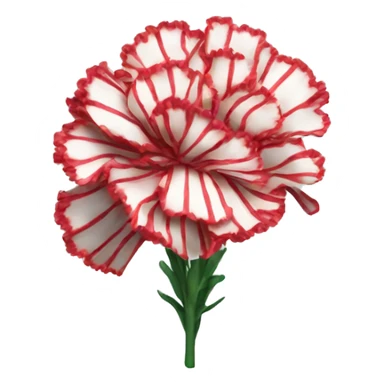 Striped carnations sticker