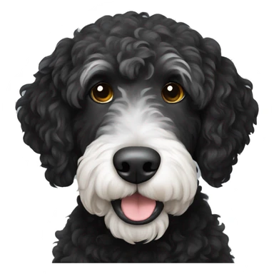 Black labradoodle with white chops sticker